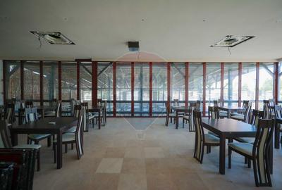 De vânzare pensiune cu restaurant, teren 4.750 mp – Băile 1 Mai - 33