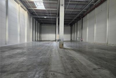 Spatiu Industrial - 1500 mp - Productie - Depozitare - Distributie - 7