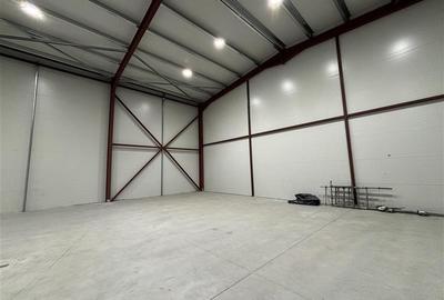 Vanzare depozit/hala/spatiu industrial Theodor Pallady - Drumul Intre Tarlale - - 4