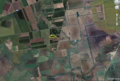 Teren de 28800 mp aproape de drumul Arad - Iratos - 4