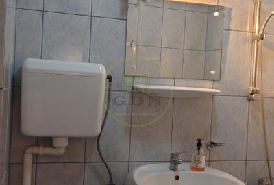 Casă Individuală de Închiriat – Lazaret / Lupeni – Garaj + Curte - 18