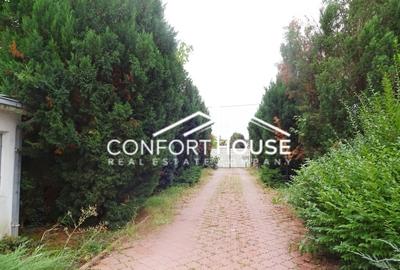 Proprietate impresionanta D+P+M, teren 4781MP, IANCU NICOLAE - 28