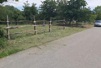 Teren zona montana in com.Turcinesti Jud.Gorj - 9