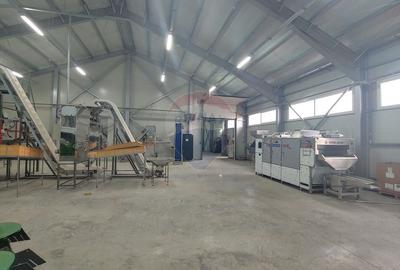 Spațiu industrial-depozit de 1120mp de închiriat în Dumbrăveni, SV - 40