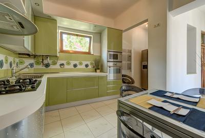 Apartament 4 camere si mansarda in vila, Calarasilor Traian - 11