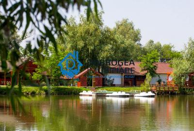 DELTA DUNARII-MALIUC  - PENSIUNE DE VANZARE , 30000 MP - 1