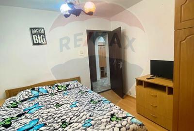 Apartament cu 2 camere de închiriat în zona Rovine - 4