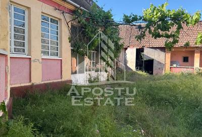Casă de cărămidă în Sustra ,Topolovatul Mare cu teren de 1522 mp. - 13