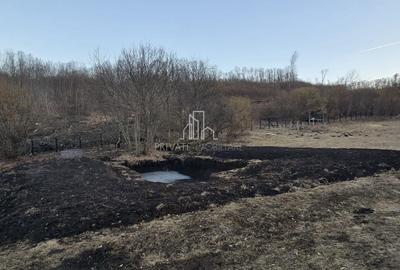 Teren de vanzare, 20.000Mp , Comuna Danes, drumul Crisului - 19