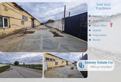 Antony Estate | Hala, Spatiu Depozit de Vanzare, Palota - Bihor - 7