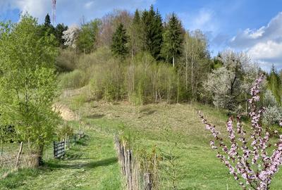 Teren panoramic insorit, utilitati, panta mica si padure, turism sau vacanta - 1