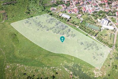 Teren intravilan 20.800 mp, Grădiște - 1