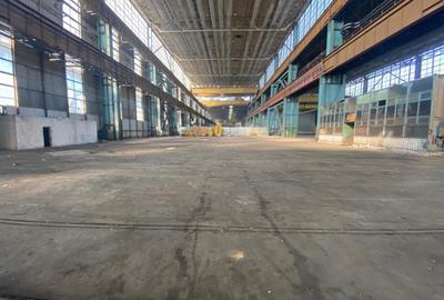 Spatiu industrial, 19900 mp, pod rulant 50 tone, zona Craiova Est - 1