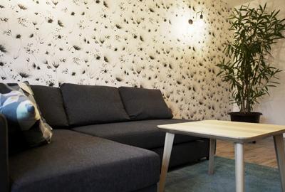 Apartament  3 camere, DECOMANDAT,  zona Centru-Palas Mall - 10