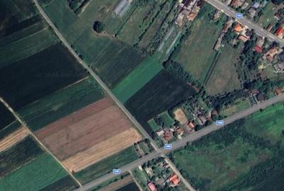 Teren agricol extravilan de 5900 mp, în Hideaga