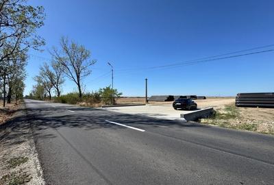 Teren agricol extravilan de 27201 mp, în Căteasca