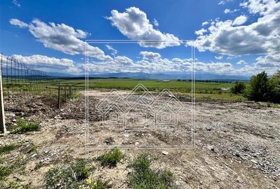 Teren agricol extravilan de 3100 mp, în Daia