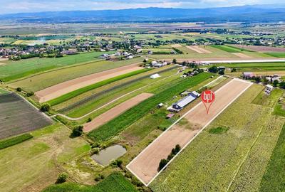 SE VINDE Teren construibil de 9.200mp in Fantana Mare, langa Falticeni - 3