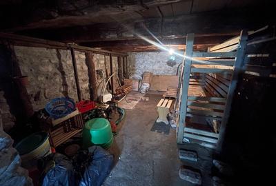 CASĂ CU 6.500 MP TEREN | LIVADĂ | GRĂDINĂ | PIANU DE SUS - 11