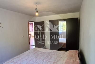 Vila Ialomita -Livedea lac - 20