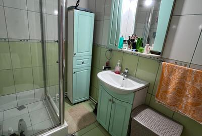 Casa de vanzare, zona palas, 195mp teren, 4 camere, 2 bai, 2 bucatarii, renovata - 21