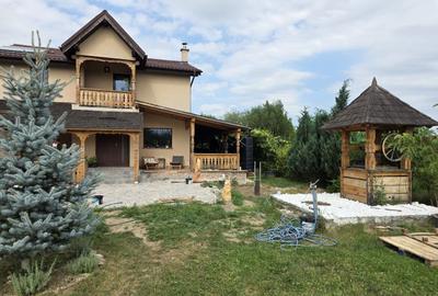 Casă cu suflet, teren de 1.000 mp și independență energetică - 5