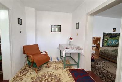 Casa cu teren 2783 mp- Panciu-Satu Nou - 7