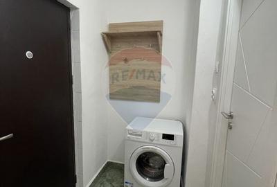 Apartament cu 1 camera in Micalaca - 13