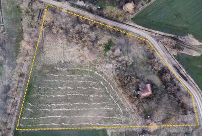 Teren agricol parțial intravilan | Ceuașu de Câmpie - 4