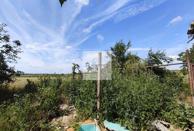 Teren de 11.000 mp cu casă și teren agricol | La 40 km de București | - 21