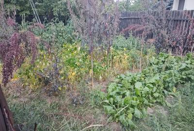 Casa in oras zona Castilio-Bulevard - 2