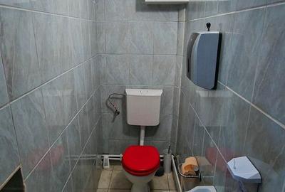 Casa de vanzare Trei Stejari | Oportunitate birouri / investiție / rezidential - 26