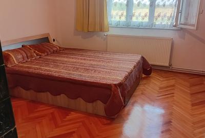 Vanzare Casa in localitatea Bodrogu Nou - 11