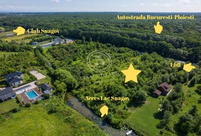 Teren 5.515 mp lângă Lidl Snagov – Ieșire la Lacul Snagov - 4