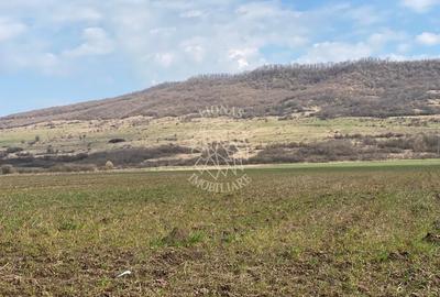 Teren Construcții intravilan de 3750 mp, în Podirei