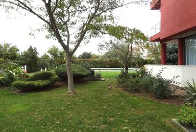 Vila exclusivista de vanzare in Palazu, 1550mp., cu deschidere de 50m. la Lac - 3
