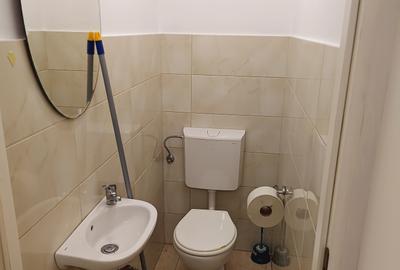 Spatiu comercial de inchiriat Motilor - 20