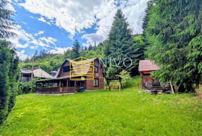 Cabană – Mureș – Sălard – Zona Pensiunea Denisa - 15