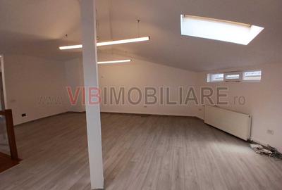 Loft spatios la Cismigiu - 7
