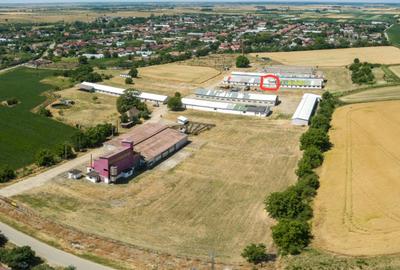 Spațiu industrial, 83 mp în Roșiori