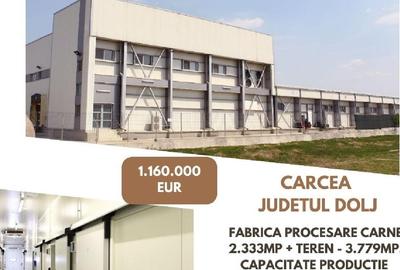Spațiu industrial, 2333 mp în Cârcea