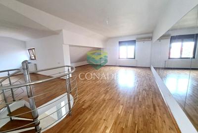 Iancu Nicolae- Pipera, vila cu 6 camere de vanzare, 368 mp construiti - 4