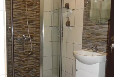 Apartament 2 camere - Piata Victoriei - 8