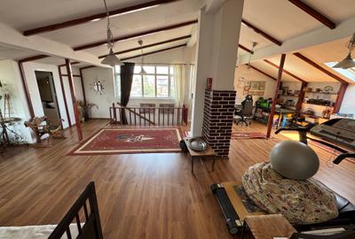 Rahova, Casa Individuala, P+1+M, Suprafata teren 252 mp,Disponibila imediat. - 9