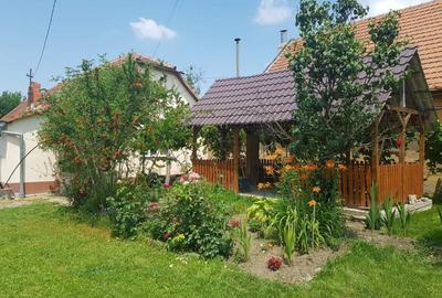 Casă cu 4 camere și teren generos de 2.370 mp – Deta, Strada 1 Mai