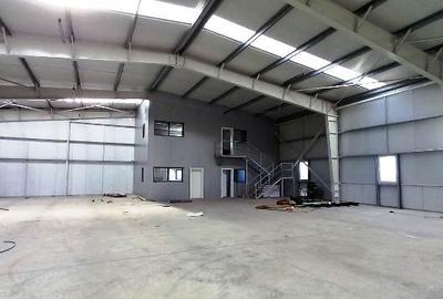 Magurele,hala 1000 mp,constructie noua ,ideal depozitare,productie - 17