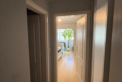 Piata ALBA IULIA/DECEBAL,nestradal,apartament superb,ideal locuit,utilat complet - 19