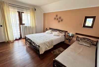 Casa de vacanta-pensiune - 23
