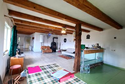 CASA DE VANZARE PODUL OLTULUI CU ACCES PRIVAT - 10
