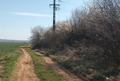 Ieftin, Băicoi-Liliești, vânzare  teren intravilan 7500mp, 4,5 e/mp, neg. - 5